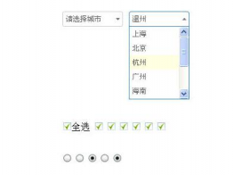 inputbox表单美化插件自定义select框checkbox复选框radio单选框美化