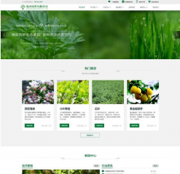 html5响应式的绿化种植网站