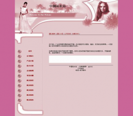 公司企业网站模板 公司模板HTML 公司企业
