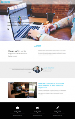 html5模板 互联网设计公司html5模板 公司企业网站模板