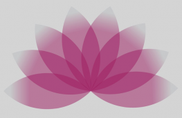 css3荷花开放效果