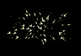 html5 canvas一群鸟飞行特效