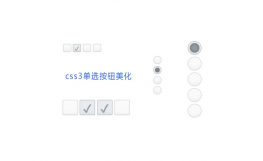 CSS3单选和复选按钮美化代码