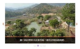 腾讯大闽网厦门频道Koala焦点图