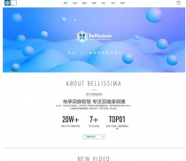 经典蓝色响应式的健康管理医疗企业网站html模板