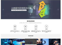 大数据网站模板互联网技术服务公司网站模板