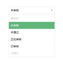 select下拉条件选择框美化插件