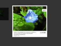 jQuery LightBox图片浏览效果