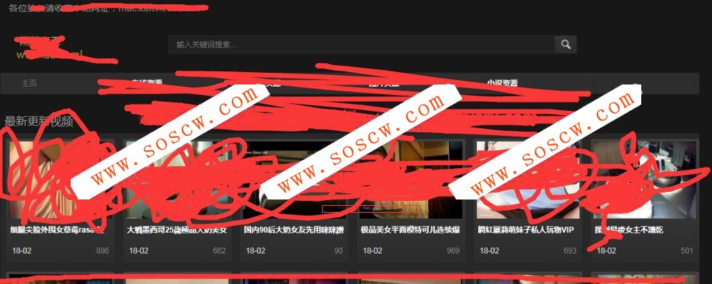 自制huang cms系统 全站资源自动采集 及传及用 H站专用