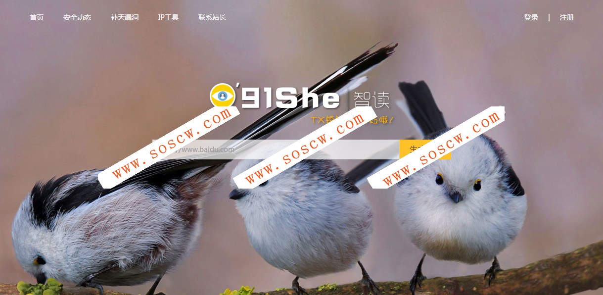 QQ域名防报毒网站程序PHP源码 带后台