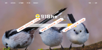 QQ域名防报毒网站程序PHP源码 带后台