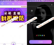 呆萌直播源码（带游戏）已对接第三方支付+IOS+安卓端+PC端完美运营开源版