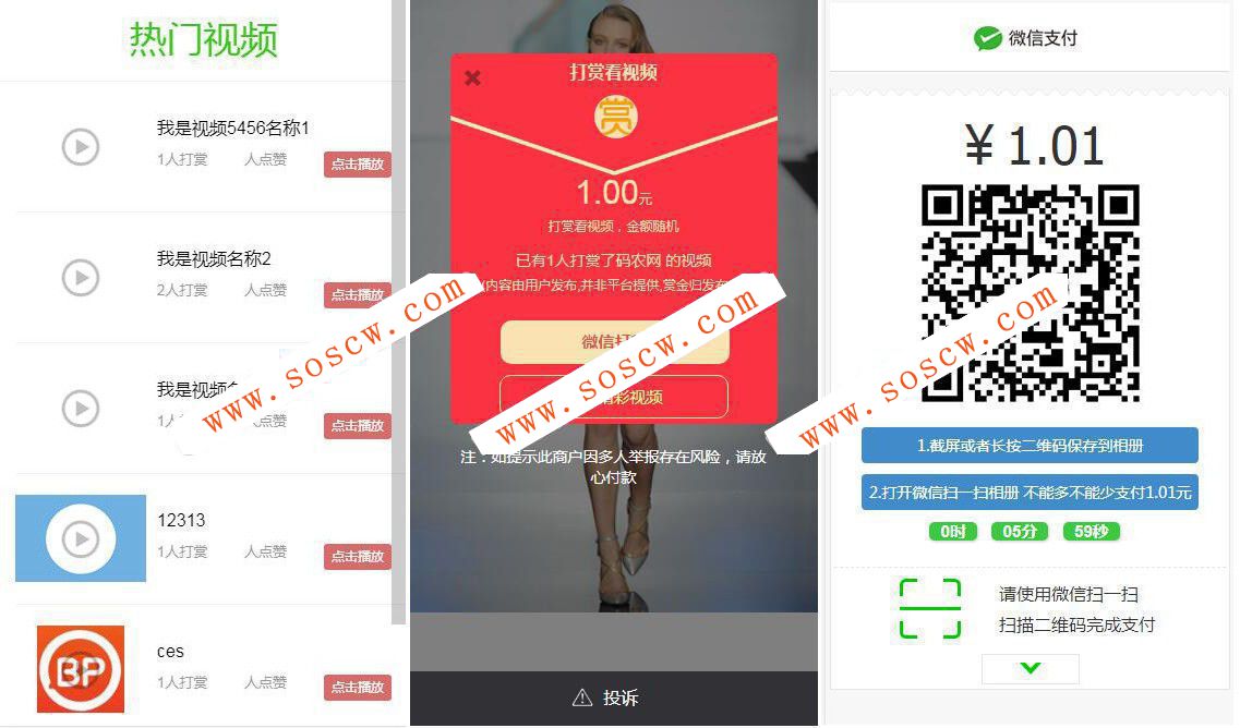 DS正版V15微信视频打赏源码代理分销系统