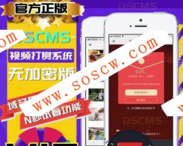 DS正版V15微信视频打赏源码代理分销系统