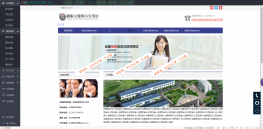 云建站系统源码,在线建站系统含代理各种续费功能