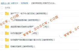阿里巴巴最新速卖通开店教程 装修+营销30多课时（国际外贸教程）