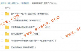 阿里巴巴最新速卖通开店教程 装修+营销30多课时（国际外贸教程）