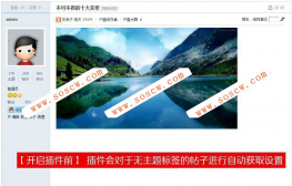  TAG标签自动获取SEO 1.3 商业版 [Discuz插件]