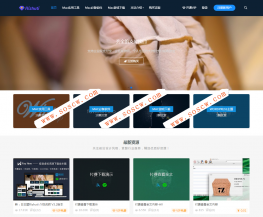 日主题V3.3官网最新版，WordPress付费主题分享，去除域名授权