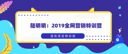 2019全网营销特训营，虚拟项目特训班全套进阶课程
