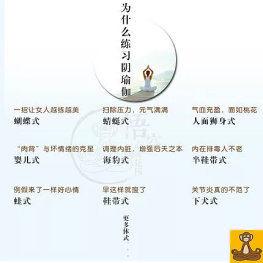 阴瑜伽视频教程_阴瑜伽教学视频_阴瑜伽全部体式_阴瑜伽的25个体式图